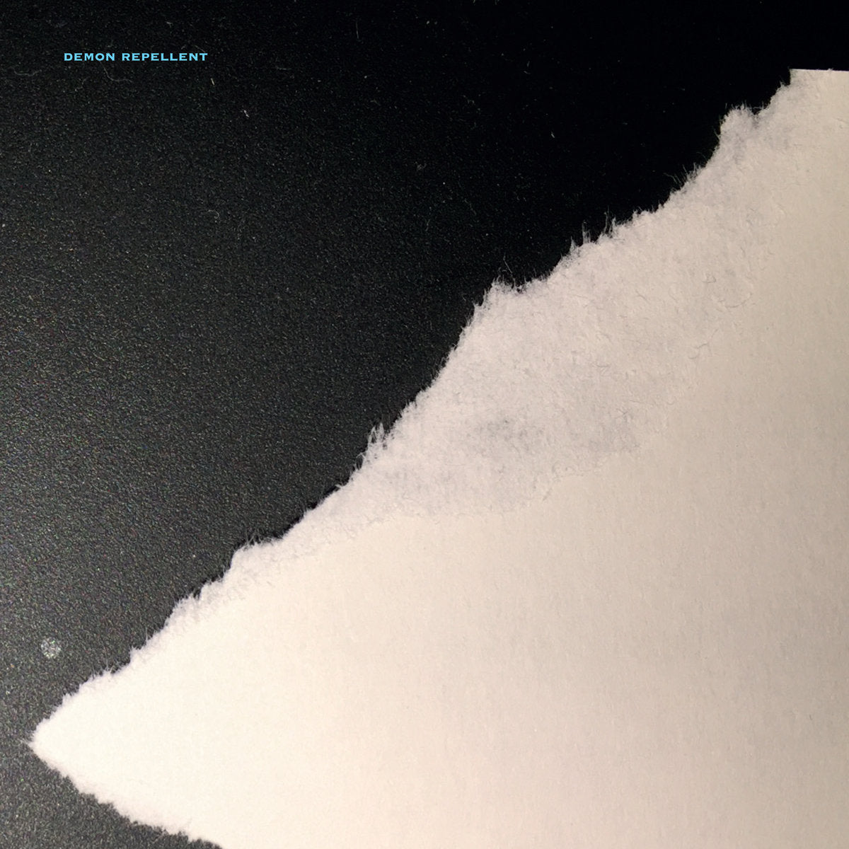 To Feed On Others / Demon Repellent - Split (12'' EP)