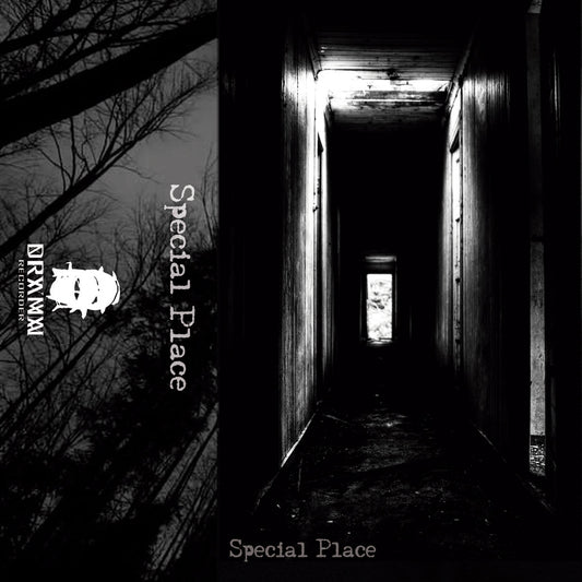 V/a - Special Place (Cassette)