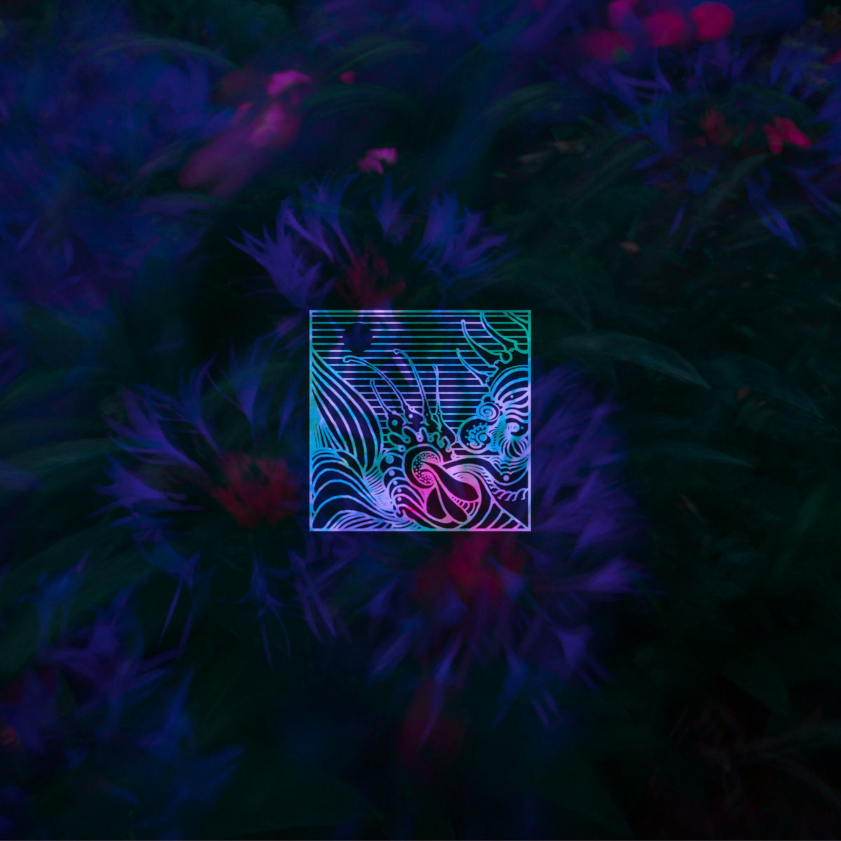 Abraço de Vapor - Nocturn I (CD)